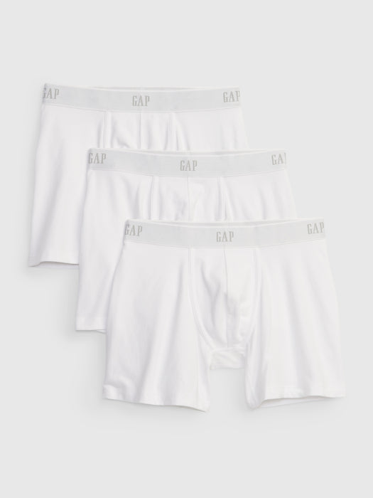 5" Boxer Briefs (3-Pack)