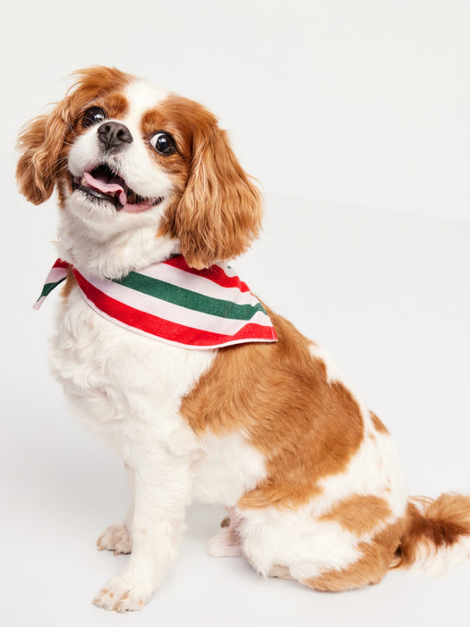 Patterned Bandana for Pets