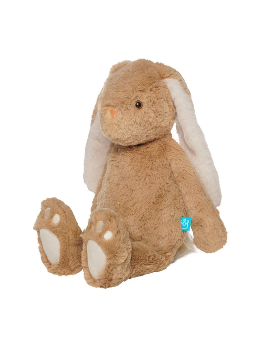 Willow the Coffee Snuggle Bunnies