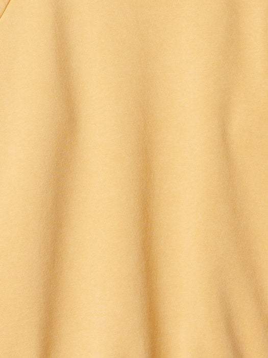 Vintage Soft Raglan Sweatshirt