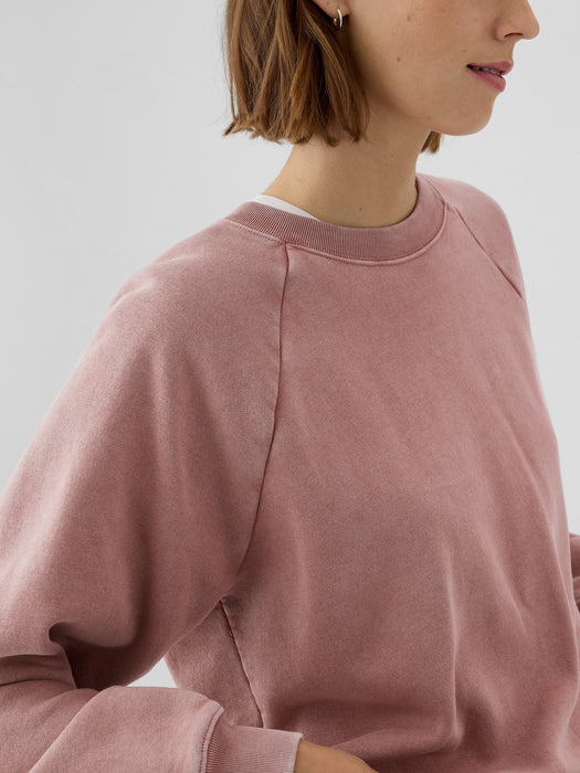 Vintage Soft Raglan Sweatshirt