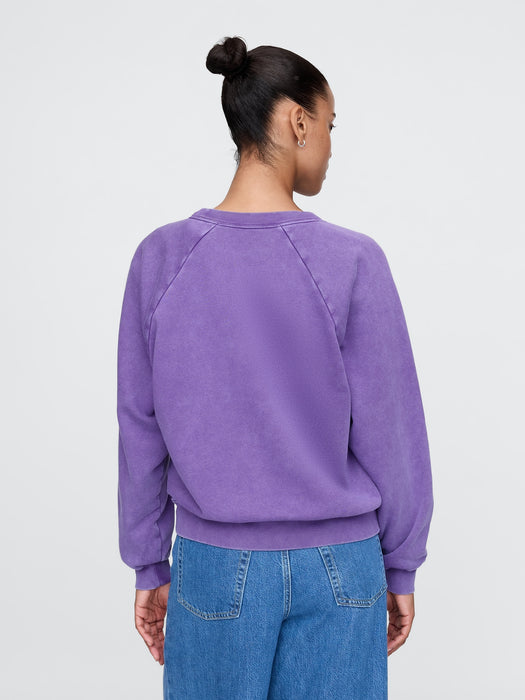 Vintage Soft Raglan Sweatshirt