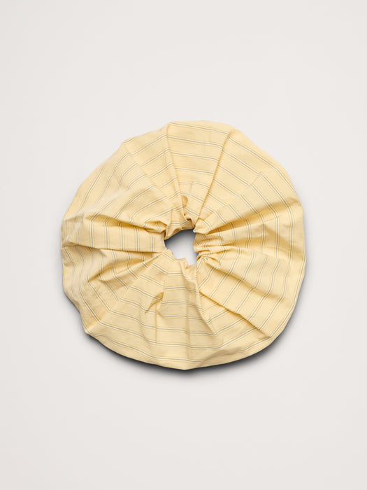 Hair Scrunchie