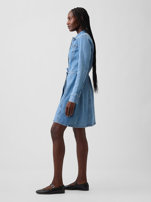 Denim Button-Front Mini Dress