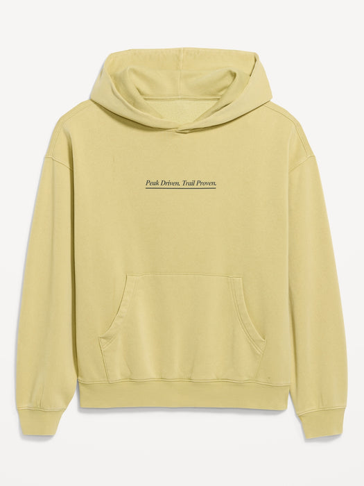 Lived-In Pro Hoodie