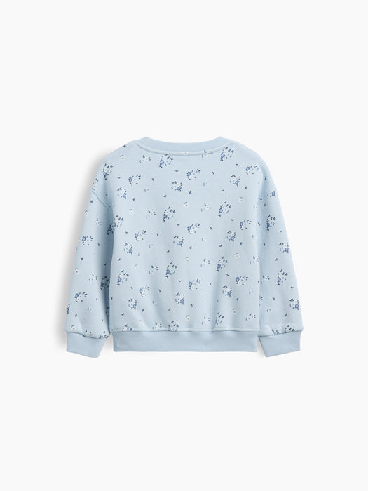 Baby & Toddler VintageSoft Print Sweatshirt