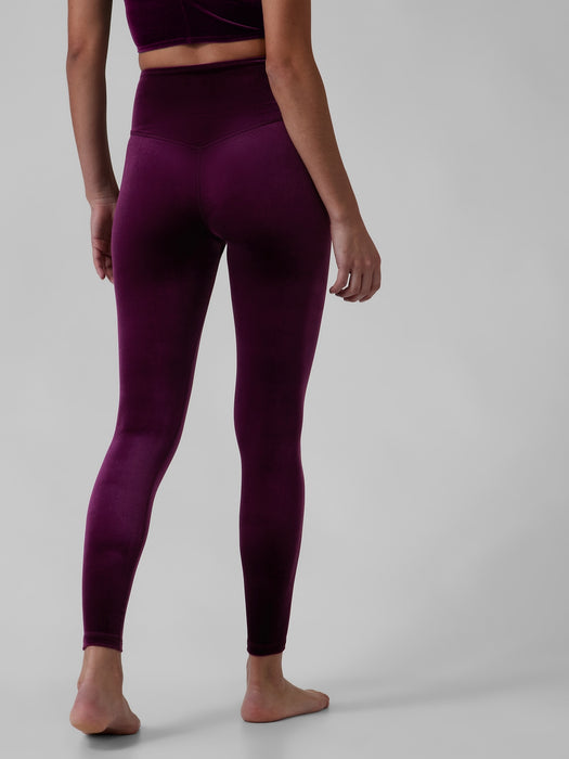 Elation Velvet Tight - Century