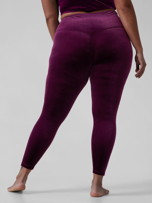 Elation Velvet Tight - Century