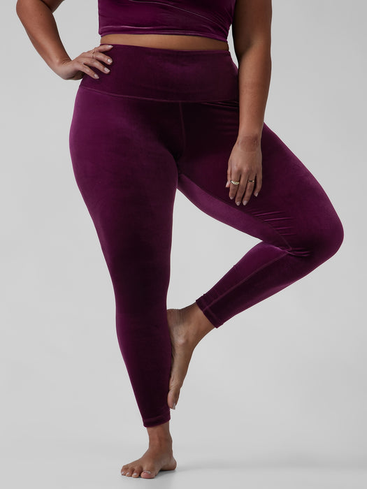 Elation Velvet Tight - Century