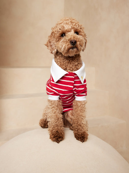Dog Polo - Red Star
