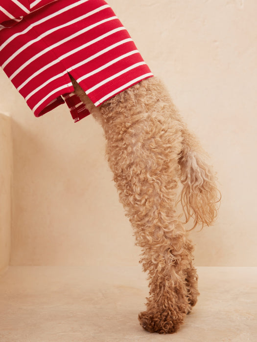 Dog Polo - Red Star