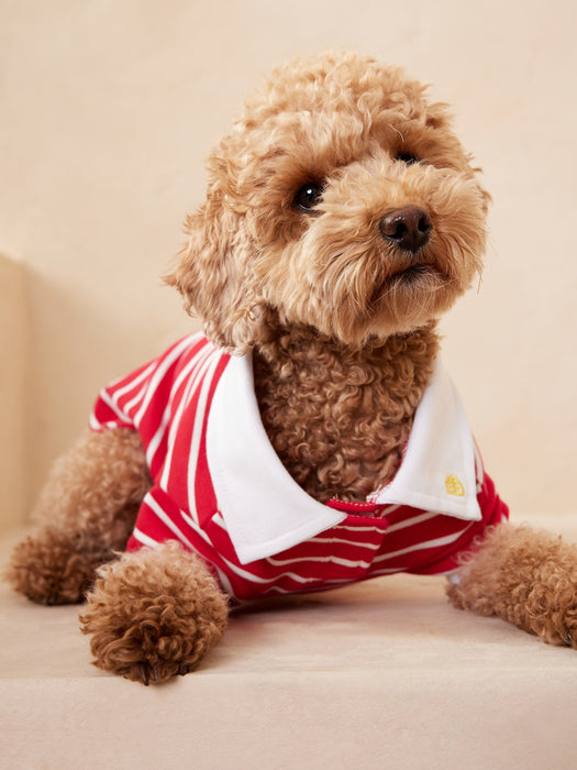 Dog Polo - Red Star