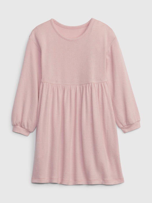 Toddler Softspun Skater Dress
