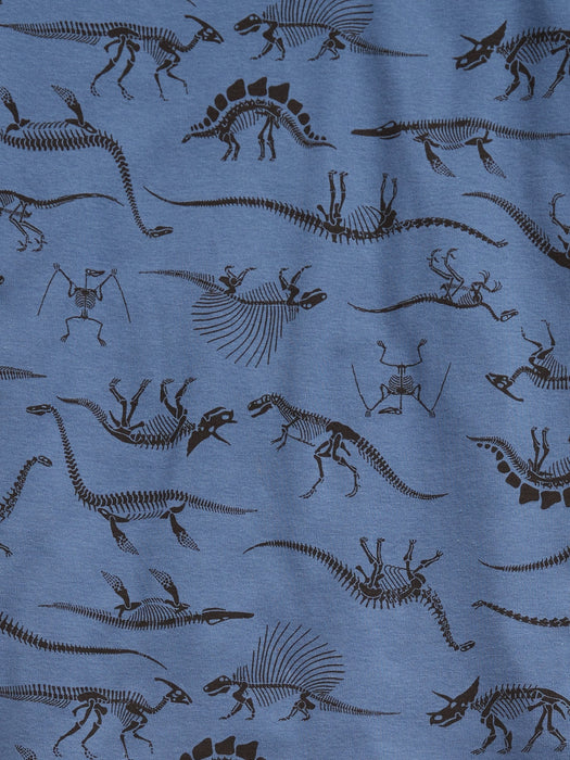 Kids 100% Organic Cotton Dino PJ Set