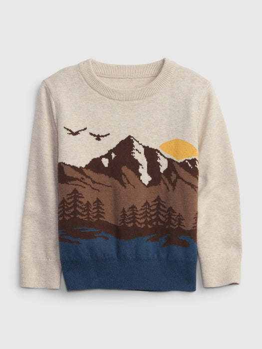 Toddler Graphic Sweater