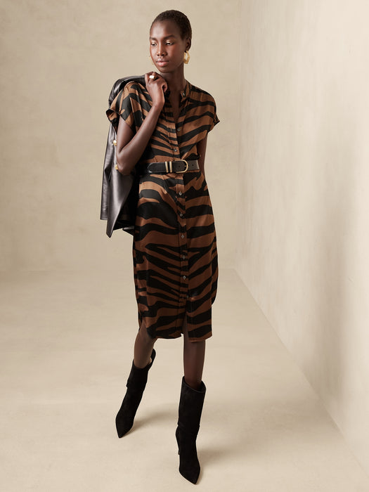 Serenade Silk Shirtdress