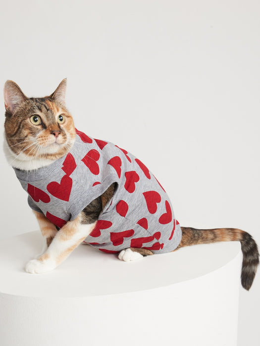 Printed T-Shirt for Pets